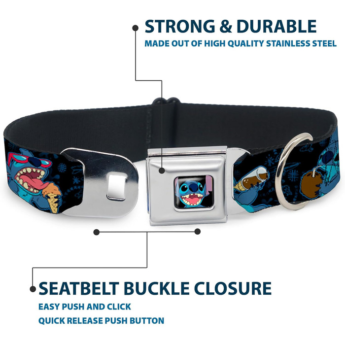 Нашийник для собак Buckle-Down з пряжкою - чорний/синій, 1 дюйм, для шиї 38-66 см - великий