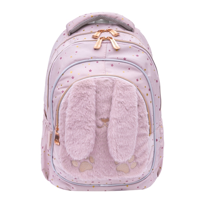Багатокамерний шкільний рюкзак AstraBag, рожевий, 20 л