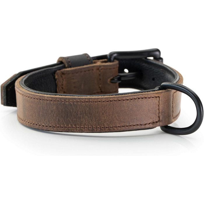 Нашийник для собак Джек Рассел з натуральної шкіри та неопрену – м'який та міцний нашийник для маленьких та великих собак – преміум нашийник Craig (L) L (42.0-51.0 см)