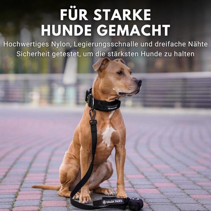 Spark Paws Tactical Dog Collar – Robust, Premium Quality, Thick and Durable for Large and Medium Dogs - M, 5cm (S: 16-25kg [5cm], Black)