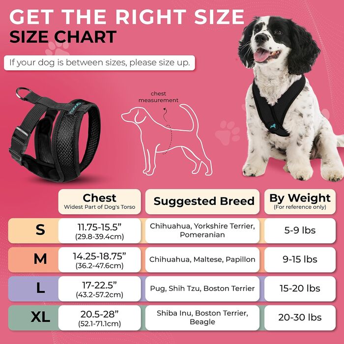 Нашийник для собак Gooby Comfort X для прогулянок та дому, чорний, розмір M, захист від задушення, для собак малих та середніх порід