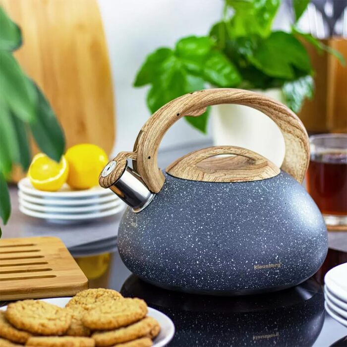 Чайник Klausberg з нержавіючої сталі з фляговим корпусом, 2.7 л (сірий)
