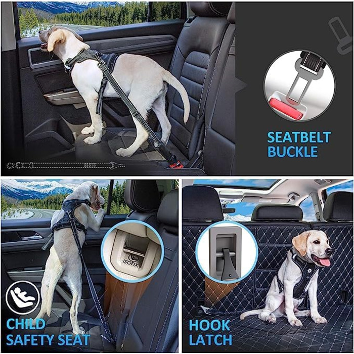 Tapylove 3-in-1 Dog Seat Belt - Adjustable Car Dog Harness with Bungee & Universal Compatibility (Isofix)