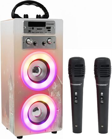 Караоке DYNASONIC з 2 мікрофонами, портативна караоке-машина, Bluetooth-динамік, USB та SD-кардридер, світлові ефекти, подарунок для дітей 5-13 років (Model 19)
