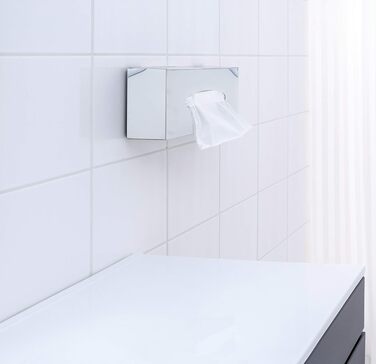 Ridder Classic Paper Towel Box, Stainless Steel, Chrome-Polished, approx. 26 x 13.5 x 7.8 cm