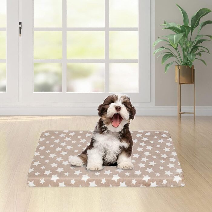 Крізь для собак, лежанка для собак, підстилка для собак, водонепроникна, 61x46x6.6 см, бежева