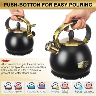 Чайник для заварювання чаю, класичний чайник з нержавіючої сталі, чайник з холодною ручкою для плити, 3 л (Чорний)