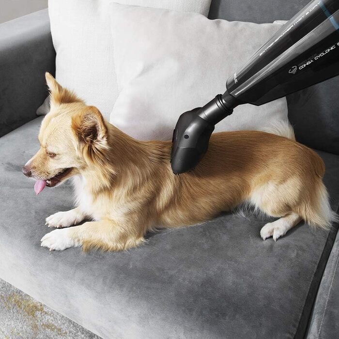 Пилосос ручний Cecotec Conga Immortal ExtremeSuction 22.2V для дому та авто, для сухого та вологого прибирання, з циклонною технологією та насадкою для шерсті тварин