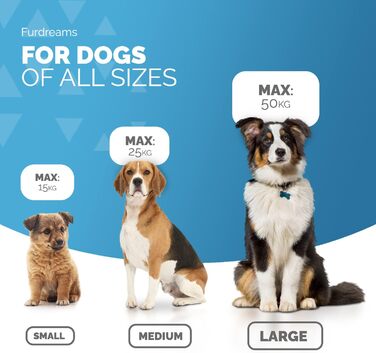 Висувна поводок для собак FurDreams – міцний, 5-метровий поводок з надійним затискачем | Нековзний ручка з контролем блокування | Міцний нейлоновий поводок, що не заплутується & гачок для нашийника (Чорний, Великий) Чорний Великий