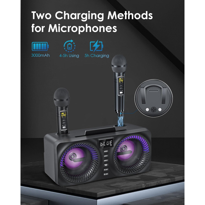 Караоке система All-in-One з Bluetooth, 2 мікрофонами та акустикою 30W, PA система для вечірок (Чорний)