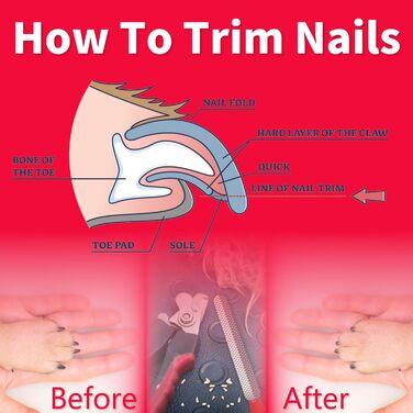 Професійний триммер для кігтів собак та котів з пилочкою. Нержавіюча сталь. Підходить для собак та котів будь-яких порід