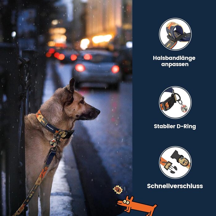 Набір повідка та нашийника для собак, регульований, чорний, S (28–43 см, 1.5 м)