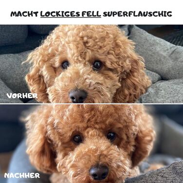 М'яка щітка для собак Moki Bär: ідеальна для чутливої шкіри та не линяючих порід, розмір S