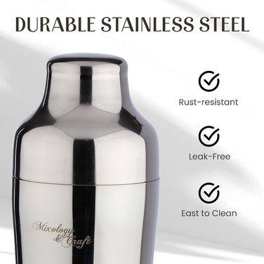 Stainless Steel Cocktail Shaker Set - 10 Piece Mixology Set with Bamboo Stand - Silver Bar Accessories Gift Set