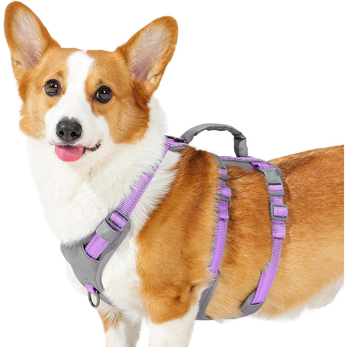 Шлейка безпеки для собак Huntboo, анти-втеча, для панічних собак, з ручкою, регульована, для маленьких, середніх та великих собак (лавандовий, M)