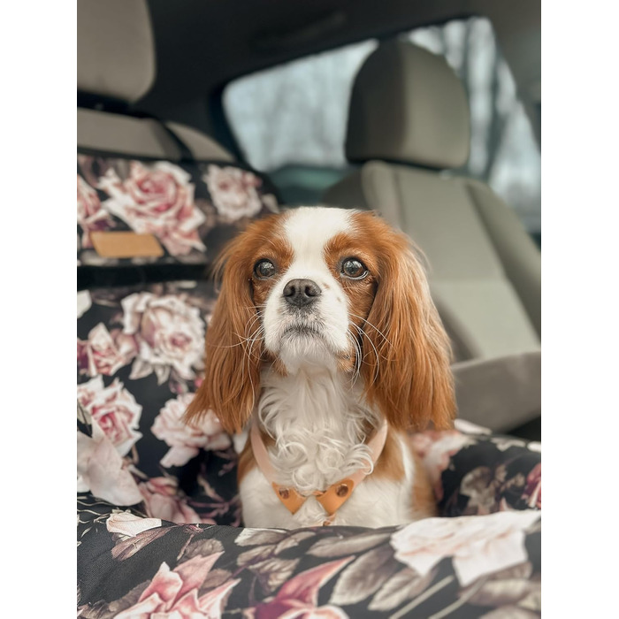 Крісло для собак у машину Petsen з іменем, корзина для собак, автоліжко для маленьких собак, автоліжко з іменем (Рожеве)