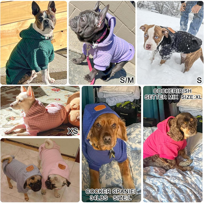 BEAUTYZOO Dog Hooded Sweatshirt for Small, Medium, and Large Dogs, Winter, Autumn, Warm Dog Clothes for Puppies, S, M, Dogs, Girls, Boys, Dog Sweater, Shirt, Hoodies with Pocket