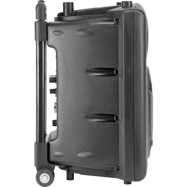 Портативна акустика Ibiza PORT12VHF-BT 12