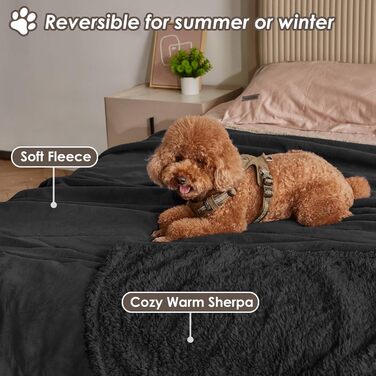 Водонепроникний плед для собак та котів, миючий, чорний (150 x 120 см)