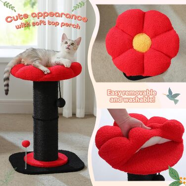 Flower Cat Tree - Small Cat Tree for Indoor Cats with Super Thick Scratching Post [Dia=14cm], Detachable Flower Cat Bed, Feather Ball - (Black)