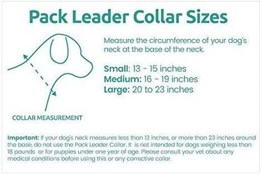 Cesar Millan Pack Leader Collar™ - The Dog Whisperer's Training Collar (Medium, Blue)