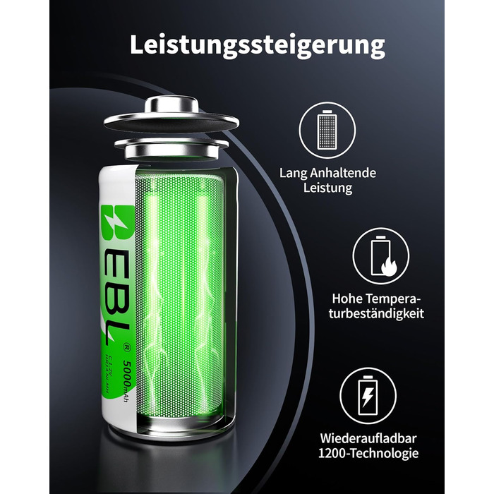 Зарядний пристрій EBL для акумуляторів AA AAA C D NI-MH, Type-C, LCD дисплей, швидка зарядка (зарядний пристрій + 4 x C)