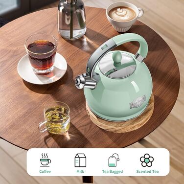 Чайник для плити RETTBERG, Induktion, 2.6 л, Ретро, з нержавіючої сталі, Cool-Touch ручка, кремовий (М'ятно-зелений)