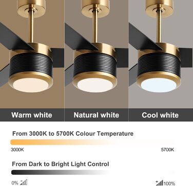 Стеляний вентилятор Reiga з підсвічуванням, 165 см, масивне дерево для зовнішнього використання IP44, регульована LED-лампа та DC-двигун, сумісний з Alexa & Google Home з пультом дистанційного керування (Чорний, Дерев'яний)