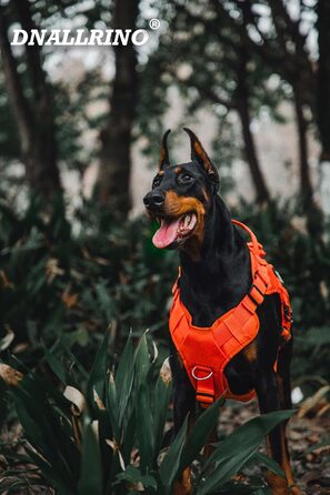 Тактичне обіднє нашийник для собак, нашийник-підйомник для середніх та великих собак, дихаюча сітка, регульований нашийник для службових собак з металевою застібкою 39g для тренувань та прогулянок (Помаранчевий, L(Окружність шиї: 46-63см, Окружність груде