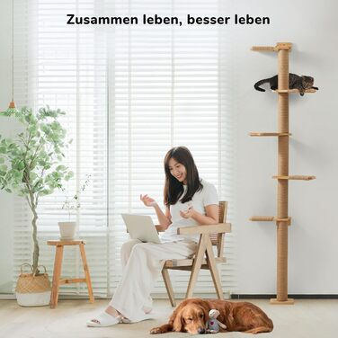 Kratzbaum, 5-story cat tree reaching the ceiling (206 cm), wall-mounted cat tree, made of natural rubber wood, for cats to climb, scratch, look out, and play.