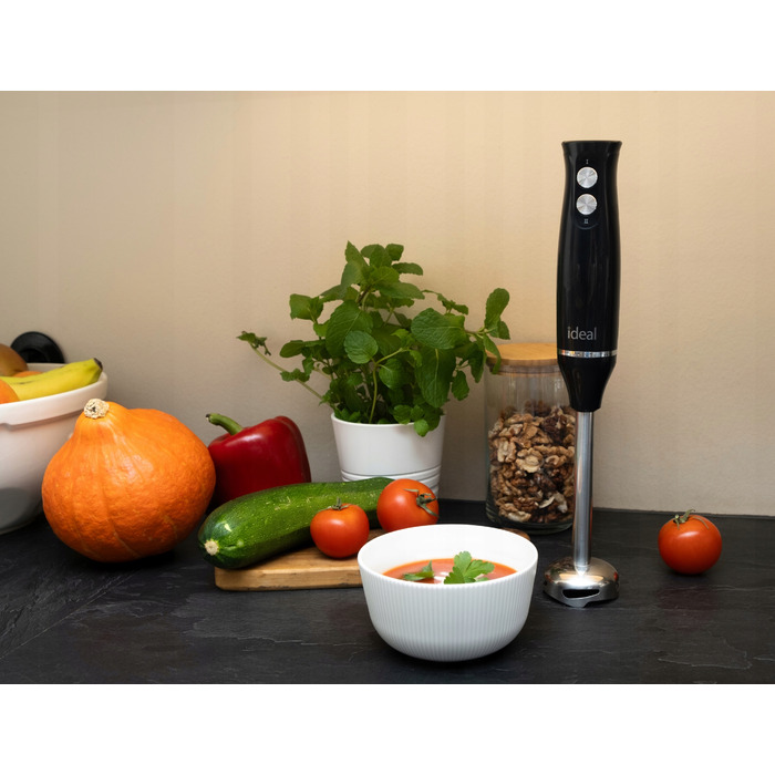 Ручний блендер IDEAL IK1002, 500 Вт, чорний