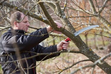 FELCO 630 Pruner (curved pruning saw, 33 cm blade, 120 mm cutting diameter, 495 mm length, tree saw including case)