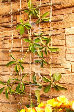 Floranica Climbing Plant Support Rank Grid - Length 150cm, Width 50cm. Made of natural willow, with ecological twine and a jute bag. Ideal support for roses, climbing plants, vegetables, and vines.