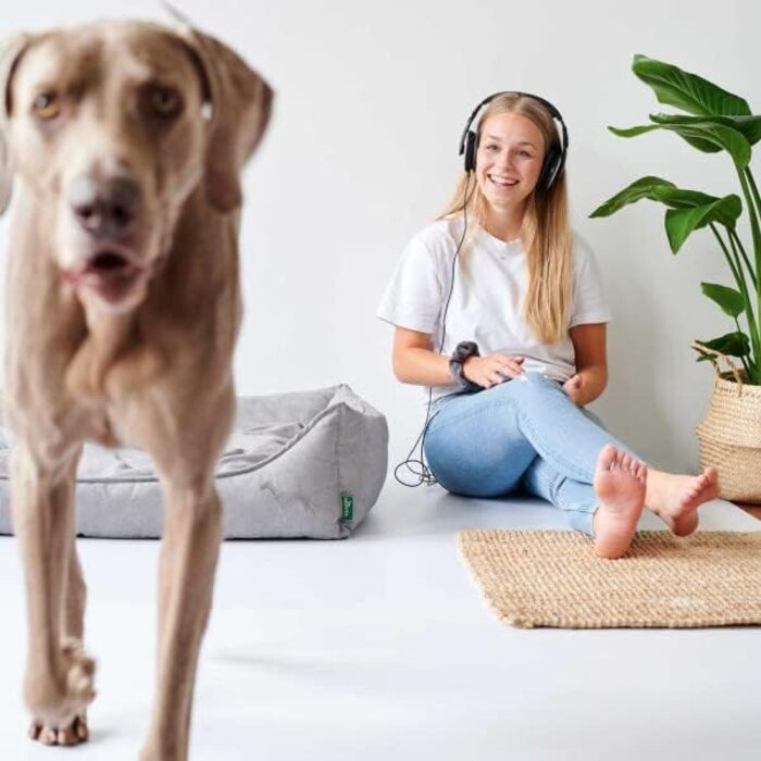 HUNTER EIBY - лежанка для собак, сірого кольору, з технологією Easy Clean, легка у догляді (L)