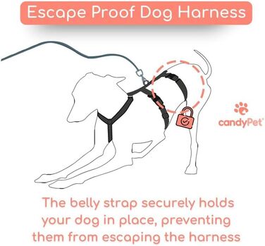 Поясний нашийник для собак, проти витягування, для італійських грейхаундів, віппетів, грейхаундів, подонко - безпечний, дихаючий та довговічний, ідеальний для походів, тренувань та бігу, антрацитовий колір, розмір M