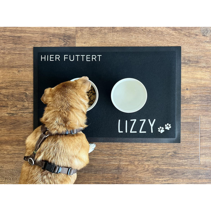 Підставка під миску для тварин з іменем | Килимки для собак та домашніх тварин | Різні розміри | Нековзні | Фетрова поверхня | Годівниця (35x50 см)