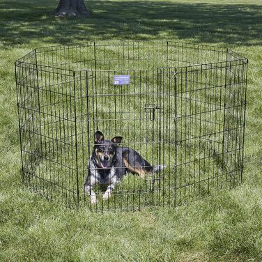 Клітка-загон для собак Midwest Homes for Pets 550-36DR, 157x157x91 см, чорна емаль, з дверцятами