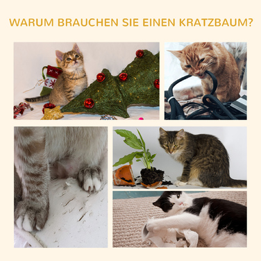 PawHut Драбина для котів, котячий комплекс, висота 240-260 см, з сизалю, крізь котячий ліс, світло-сірий, недорого для любителів котів