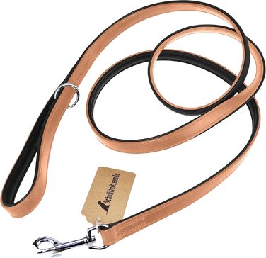 Leather Dog Leash - Training Leash - Leather Leash for Dog - Leash 3-Way Adjustable, for all Dogs (180cm, Beige)