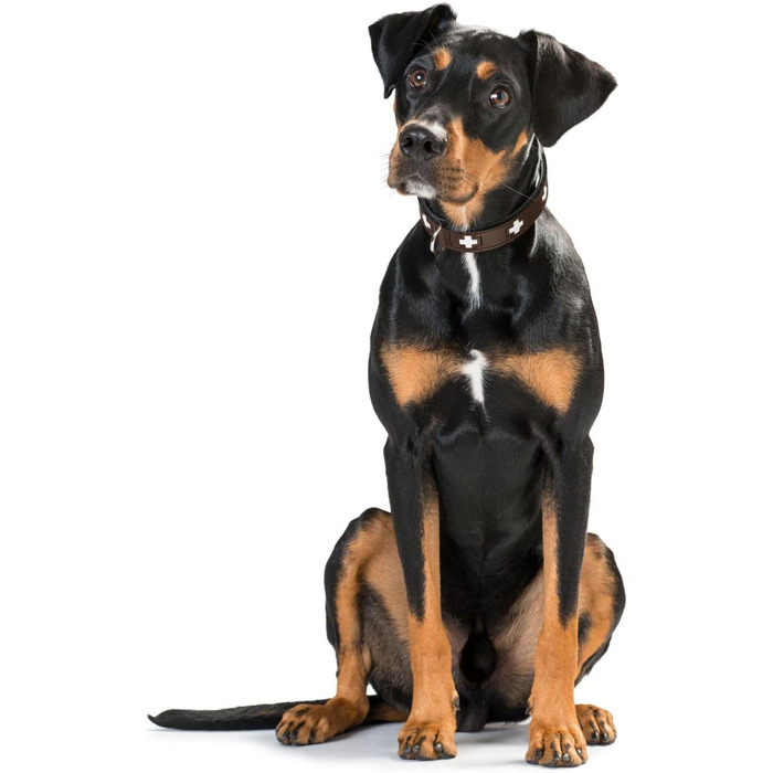 Нашийник для собак HUNTER Swiss, коричнево-чорний, м'яка шкіра, ручна робота, розмір M-L (60), Німеччина