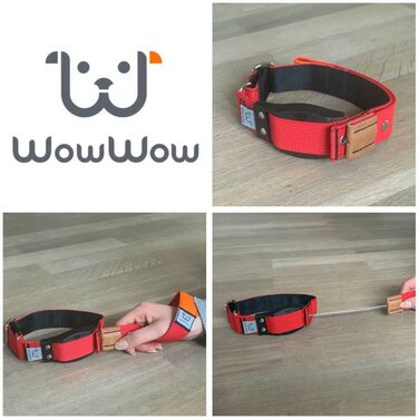 WowWow Professional Dog Collar with Leash - Size 37-46 cm, 195g, lightweight, innovative collar with integrated leash - known from 'The Lion's Den' (S, Red)
