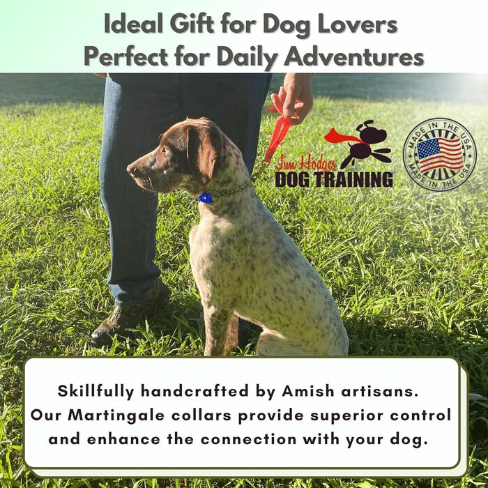 Нашийник для собак Artingale від JI HODGES, Biothane, не тягне, професійна якість, розмір XXS (блакитний)