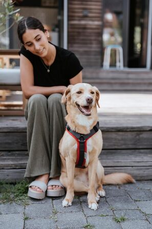 Нашийник для собак HUNTER Maldon UP, червоно-сірий, S-M: м'який, комфортний, з 3M Scotchlite, регулюється