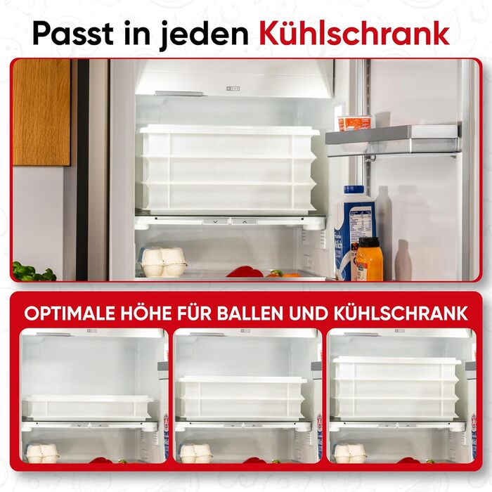 3x Pizza Ball Box, Flavor + 1 Lid, 40x30x7 cm | Proofing Box, Dough Container for Pizza Dough. Dough Box for 6 Pizza Balls, Pizza Dough Container (3x Gusto Box + 1x Lid)