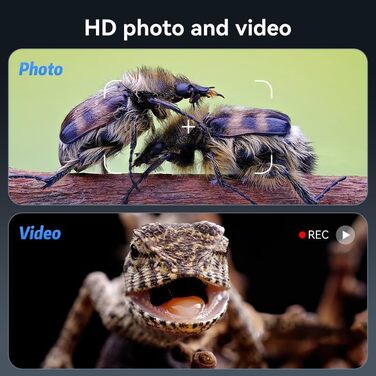 Цифровий мікроскоп Ashfly LCD 500x з дисплеєм 4.3