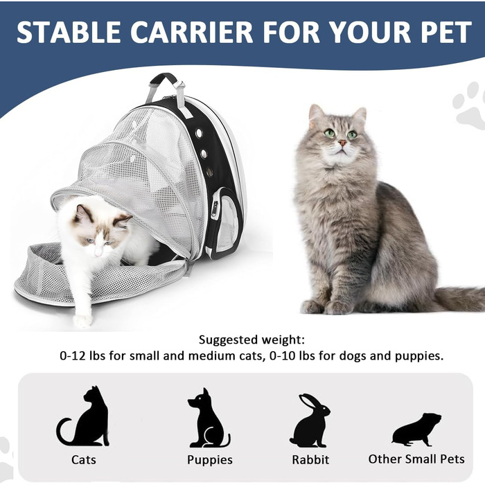 Рюкзак-переноска для котів та маленьких собак, розширюваний, з прозорим вікном та блискавкою, для подорожей та походів (розширювана спинка)