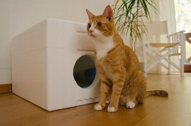 Вологостійкий котячий будиночок QLS зі стиропора, 58x38 см – ізольоване захисне житло для котів на вулицю