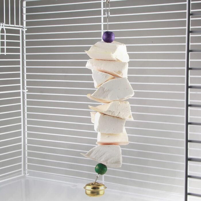 Parrot bones, fragile molars, chewing toys, grinding birds, beak and calcium, bone supplements, parrots, cockatiels