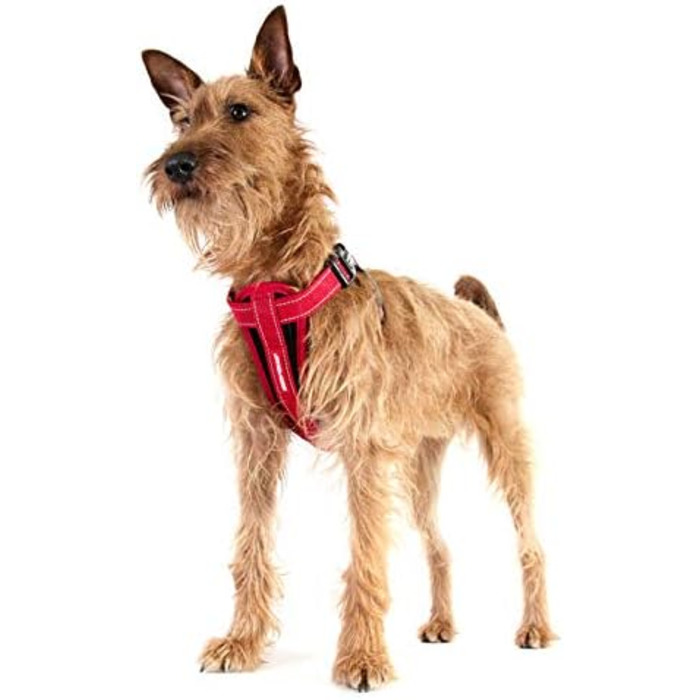 Шлейка для собак EzyDog Chest Plate – безпечна шлейка з адаптером для пасків – світловідбиваюча, з м'якою підкладкою, для собак маленьких, середніх та великих порід (L, Чорний)