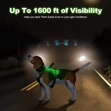 Нашийник для собак Masbri світловідбиваючий, регульований, з ручкою, м'який, світловідбиваючий, для собак середніх та великих порід, чорно-білий, TC3005B (L, Зелений)